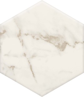 Ami Ivory 8″ Hexagon Field Tile Matte