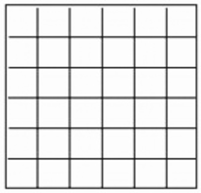 Color Variation Image