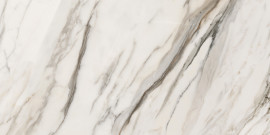 Jem Aria Gold 24×48 Field Tile Matte Rectified