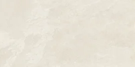 Net Zero Ivory 12×24 Field Tile