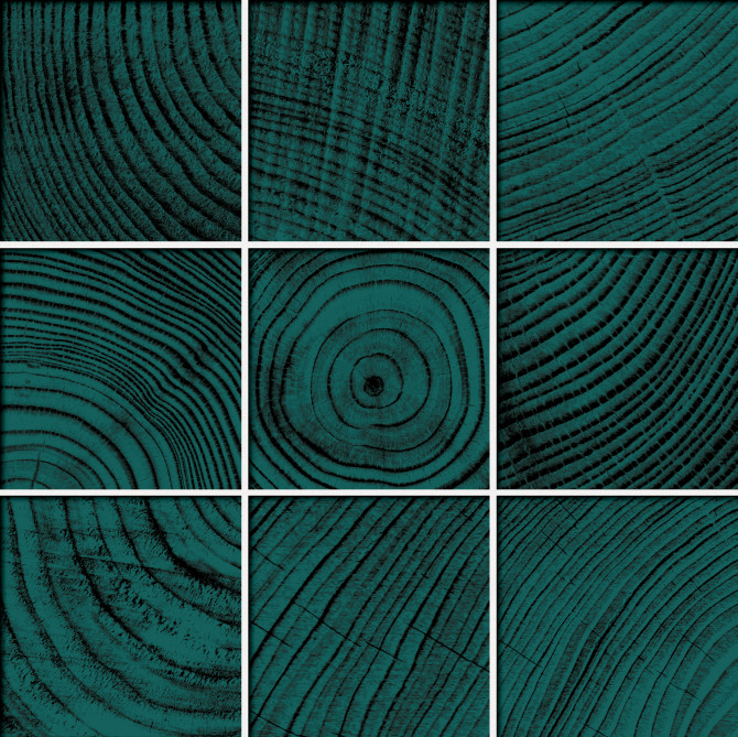 Convergence Peacock 4×4 Mosaic Polished