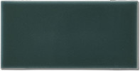 Pure Trinidad Gloss 4-1/2×8 Millenium Moulding