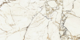 Eesome Gold 24×47 Field Tile Polished Rectified