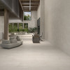 Theoretical Evolved Fundamental Gray 24x48