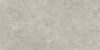 Pictured Rocks Fog 24×47 Field Tile Matte Rectified