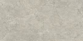 Pictured Rocks Fog 24×47 Field Tile Matte Rectified