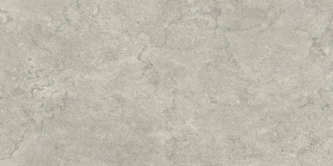 Pictured Rocks Fog 24×47 Field Tile Matte Rectified