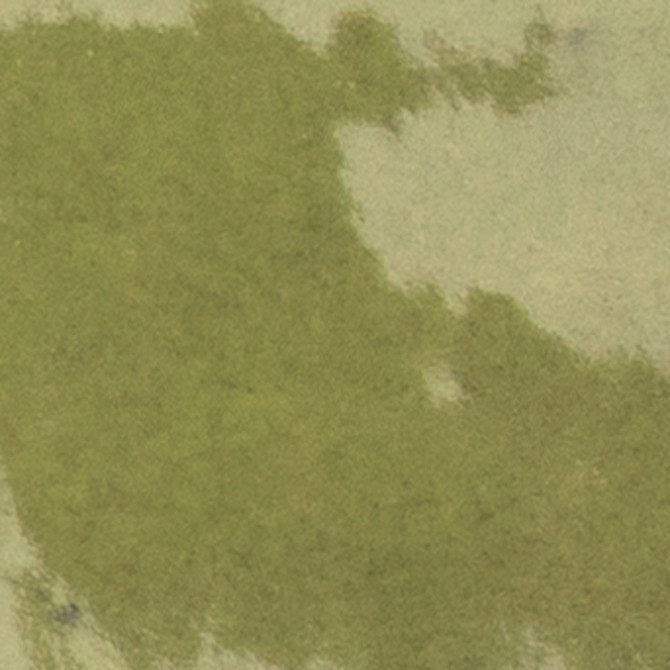Fiesta Green 1×1 Accent Glossy Rectified