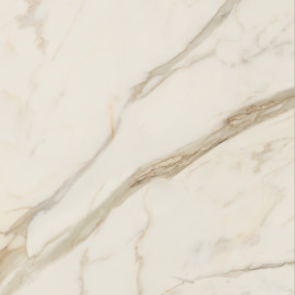 Anima Futura Golden White 48×48 Slab Polished Rectified Anima Futura Golden White 48×48 Slab Polished Rectified
