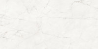Majesto Ariel Bianco 24×48 Field Tile Honed Rectified