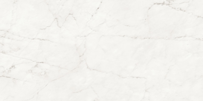 Majesto Ariel Bianco 24×48 Field Tile Honed Rectified