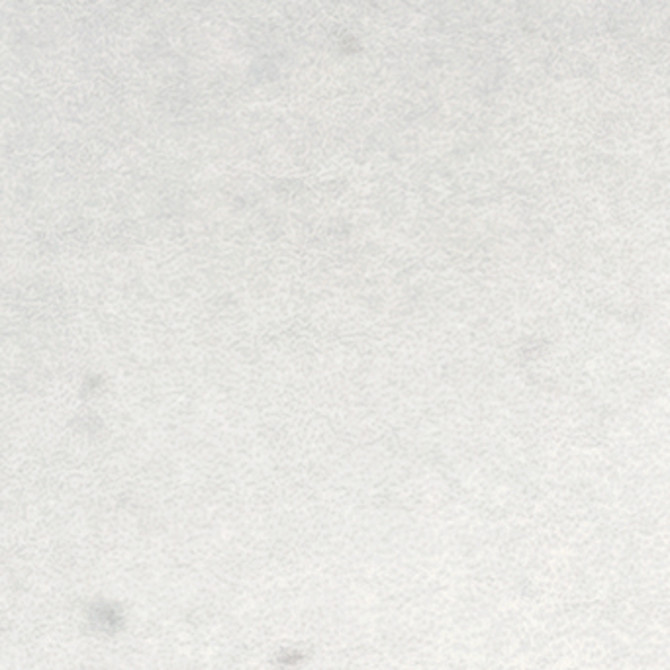Fiesta White 1×1 Accent Matte Rectified