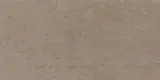 Theoretical Evolved Hibernate Brown 12×24 Field Tile Textured Rectified