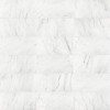 Bianco Venatino 12×24 Field Tile Polished