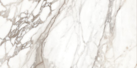 Eesome Gray 12×24 Field Tile Satin Rectified