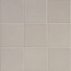 Robert Am Stern Oxford 4×4 Field Tile Glossy