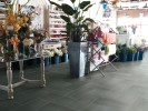 Basalt Bedrock 12x24
