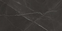 Evolve Black 24×48 Field Tile Matte Rectified
