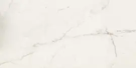 Alta White 24×48 Field Tile Polished Rectified