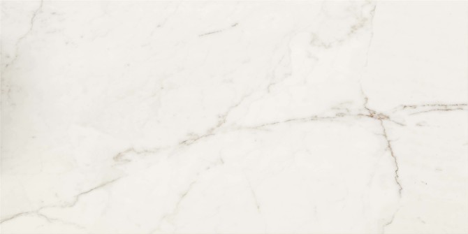 Alta White 24×48 Field Tile Polished Rectified