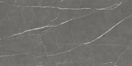 Roxy Bronze 24×48 Field Tile Leather Rectified