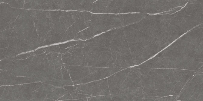 Roxy Bronze 24×48 Field Tile Leather Rectified