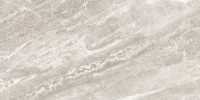 Caspar Argento 16×32 Field Tile Polished Rectified