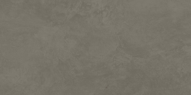 Cove Terra Smoke 24×48 Field Tile Rectified