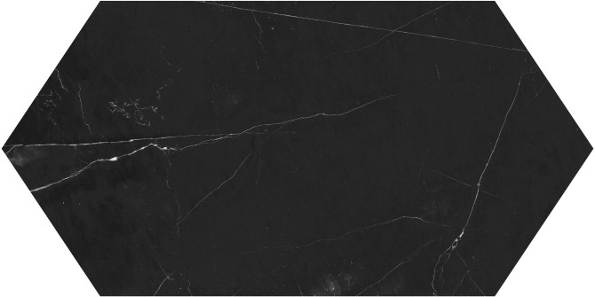 Galaxia Nero 24″ Picket Polished