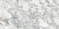 Majesto Arabescato Corchia 63×126 Slab Honed Rectified