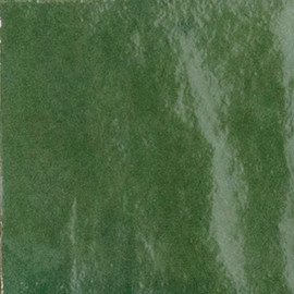 Zellige Neo Bosco 4×4 Field Tile Glossy