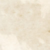 Fiesta Ivory 1×1 Accent Glossy Rectified
