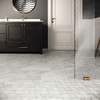 Trilogy Carrara Classic 12x24 and 2x2 Mosaic