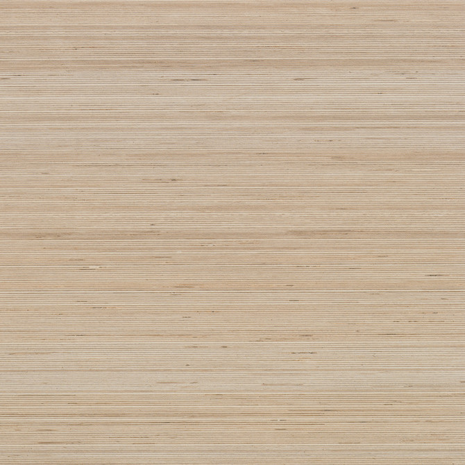 Shibusa Crema 24×24 Field Tile Matte Rectified