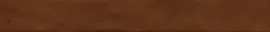 Venice Amber 2×17 Field Tile Glossy