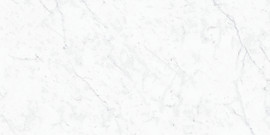 Carrara 12×24 Field Tile Honed Rectified