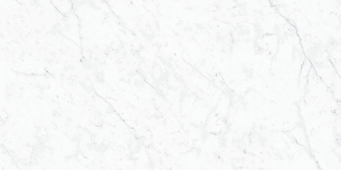 Carrara 12×24 Field Tile Honed Rectified