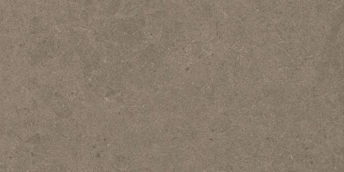 Argent 2.0 Concrete Jungle 12×24 Field Tile Rectified