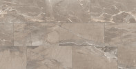 Absolute Taupe 12×24 Field Tile