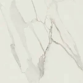 Valentina Calacatta 24×24 Field Tile Matte Rectified