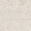Sensi White Fossil 16×32 Field Tile R+PTV Rectified