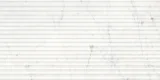 Eterna Bianco 12×24 Curva Honed