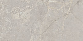Aurora Gray 12×24 Field Tile
