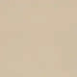 Neoconcrete Beige 24×24 Field Tile Light Polished Rectified