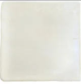 Roots White 4×4 Field Tile Glossy