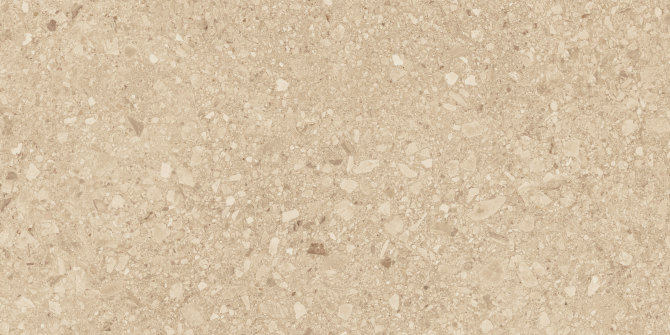 Santiago Beige 24×48 Field Tile Rectified