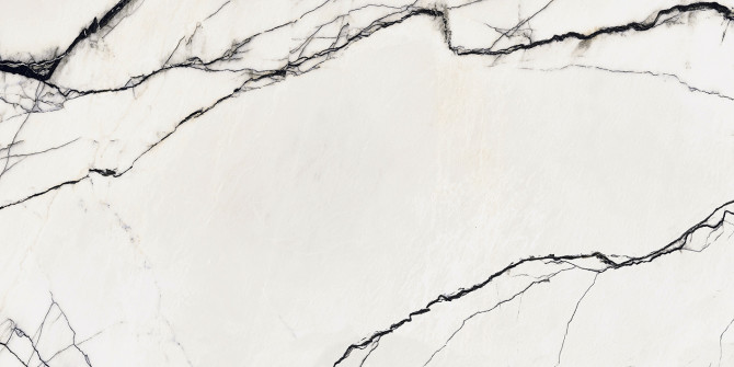 B&W_Marble Rift 24×48 Field Tile Matte Rectified