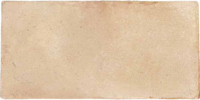 Roots Sand 9×17 Field Tile Matte