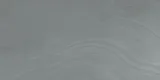Waves Pacific 24×48 Field Tile Rectified