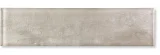 Impressions Fossil 2×8 Field Tile Glossy
